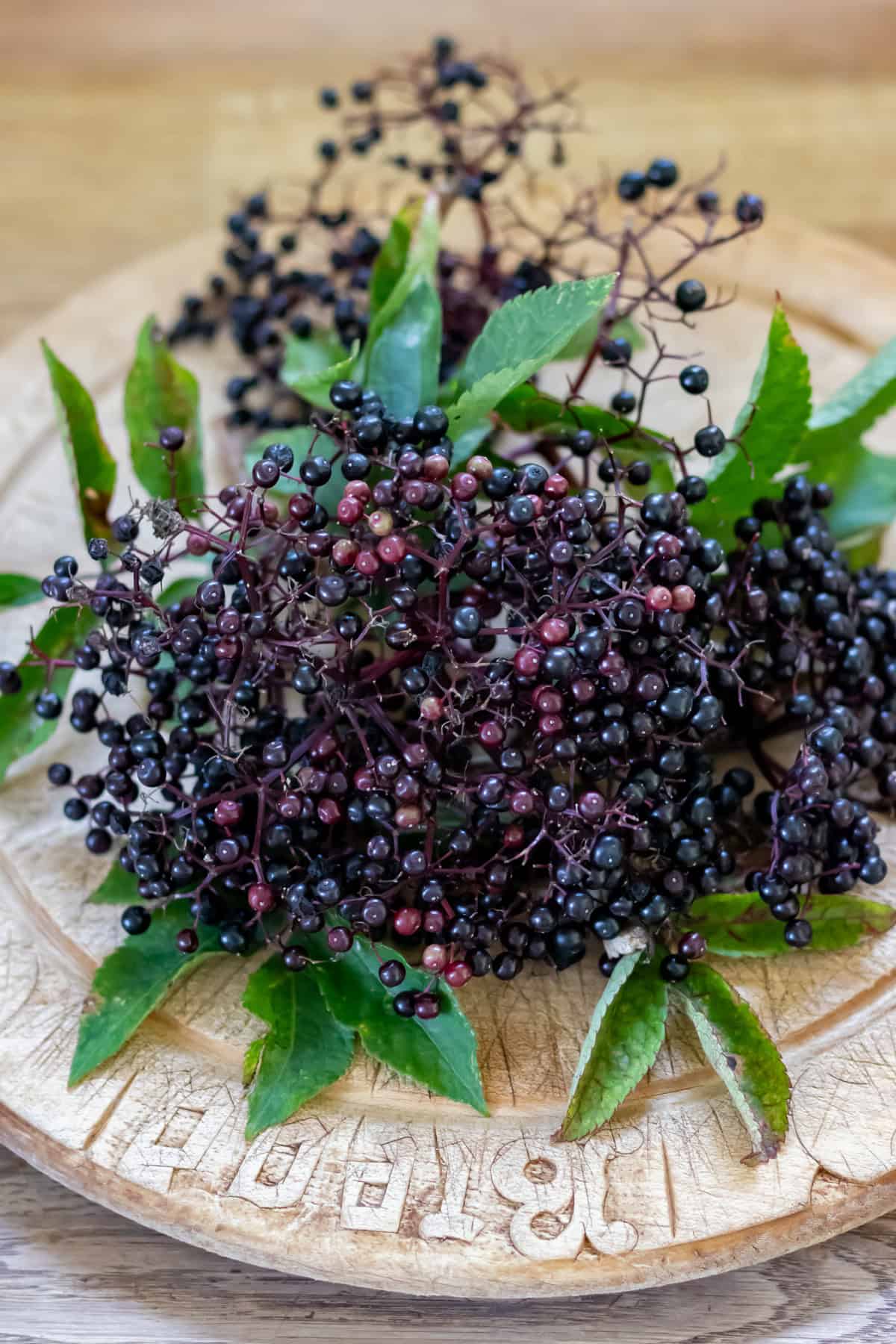 Holistic Immune System Support Elderberry Syrup